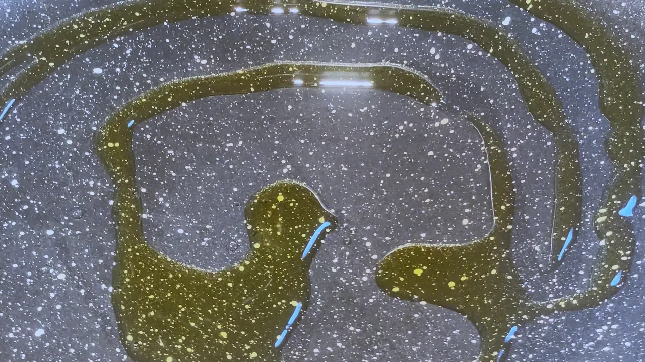 Close-up of olive oil drizzled in loops over a speckled non-stick pan