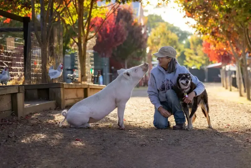 Image from the Edgar's Mission website