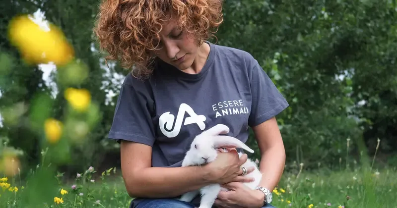 Image from the Essere Animali website